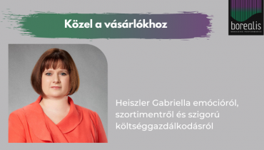 Interjú - Heiszler Gabriella - Borealis Consulting