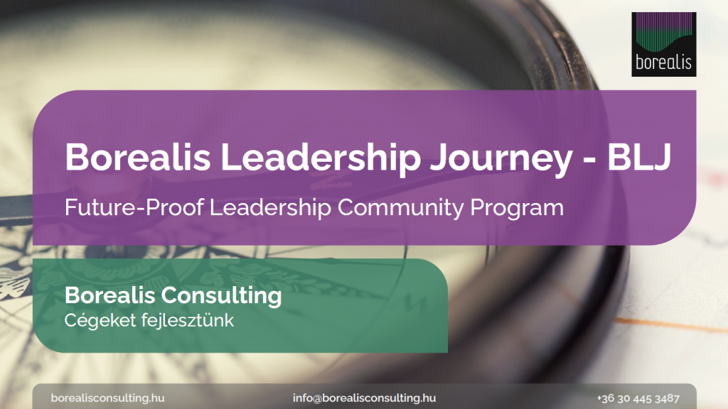 Borealis Leadership Journey – 1. modul. – Ésszel és szívvel vezetni (1)